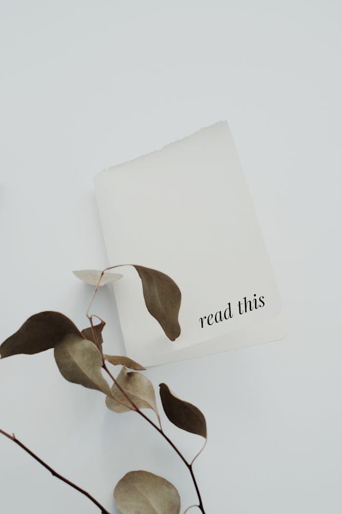 our-story Minimalist photo of paper with 'read this' text and eucalyptus leaves on white background.